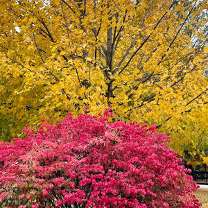 Meet your Posher, Smitha